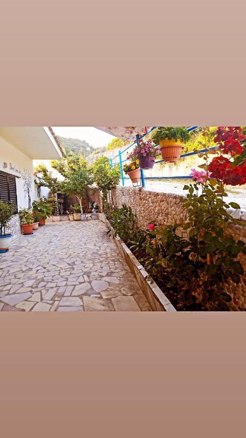 Olive Tree Villa Лигия Экстерьер фото