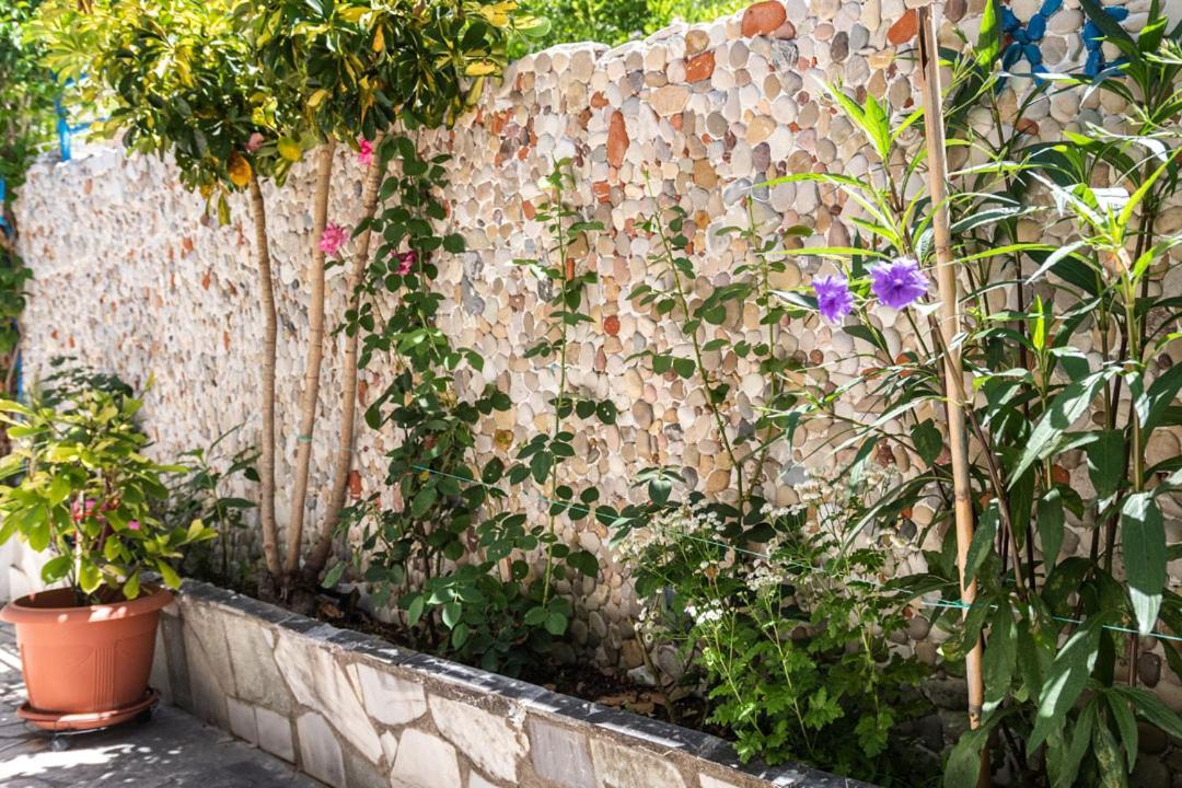 Olive Tree Villa Лигия Экстерьер фото